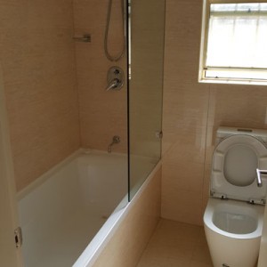 Ashfield Granny Flat Bathroom