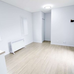 Auburn Sydney One Bed Granny Flat Living Area Auburn Sydney One Bed Granny Flat Living Area