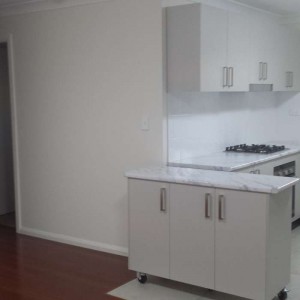 Auburn Sydney Granny Flat Kitchen 2