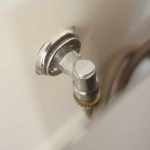 tahmoorhousecourt_012 House Court Granny Flat Gas Connector